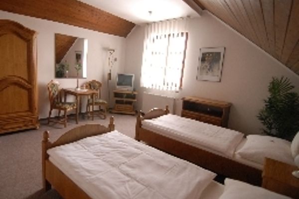 Arigone (Olomouc)